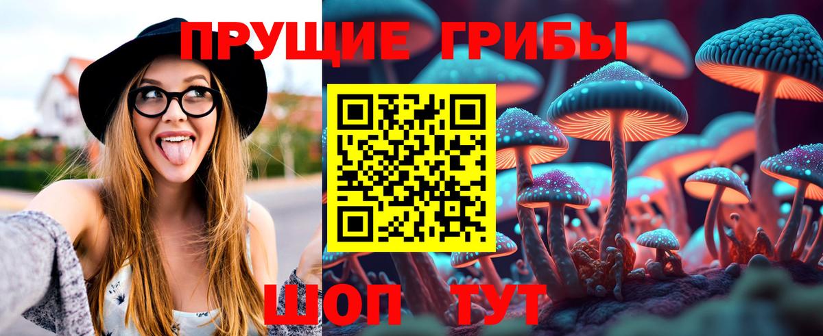 магазин продажи   Псилоцибиновые грибы мицелий  Галлюциногенные грибы GOLDEN TEACHER  Вход с VPN  Кингисепп 